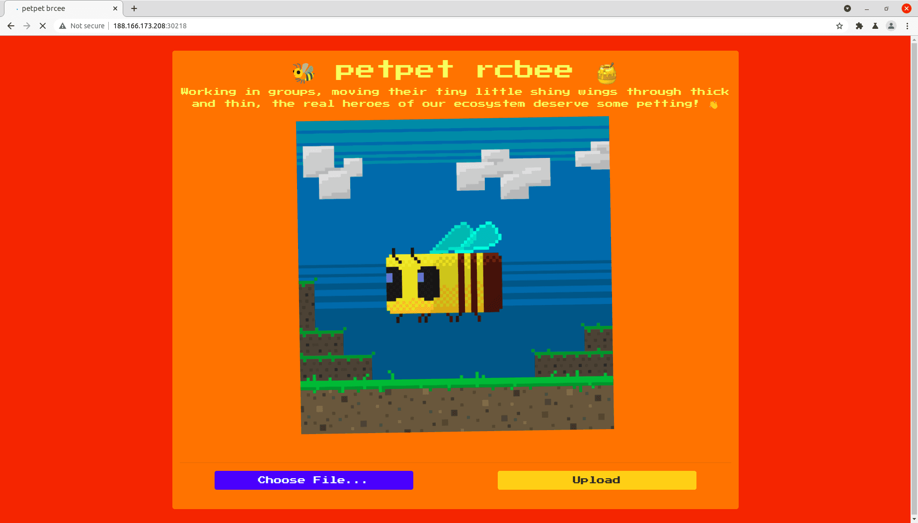 petpet rcbee